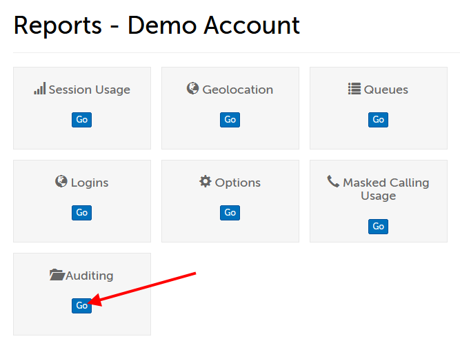 "Go" button underneath "Auditing"
